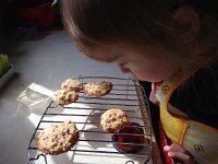 IMG 3979  Cooling cookies
