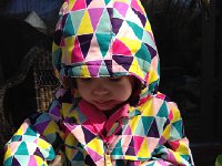 IMG 4007  Lunch picnic on the back patio