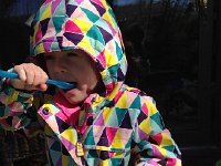 IMG 4008  Lunch picnic on the back patio