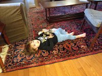 IMG 4022  Playing with owls in the living room