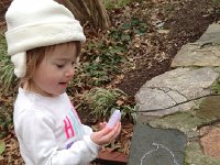 IMG 3703  Back in the yard we colored with chalk on the stones (this is a stay home and get better day, witness runny nose)