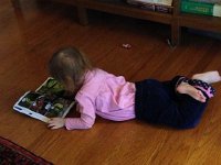 IMG 3722  Studying graphic novels (these are for adults!)