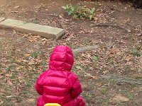 IMG 3752  and put out some fires in the back yard