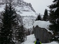 20170212 092417  A rather gray day