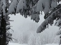 20170206 150557  New snow on the Piste du Diable