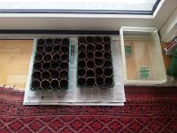 20170210 151325  starting the seedlings early this year