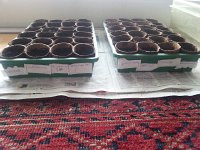 20170210 151334  and noting their provenance