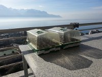 20170216 141933  16 Feb greenhouses soaking up the rays