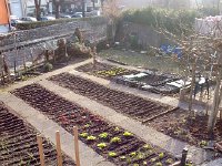 20170216 162446  some one else is also starting their garden