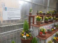 20170228 114719  Across from the cemetary