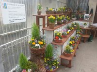 20170228 114725  self-service self-pay station