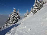 20170209 110412  toward La Piste du Diable