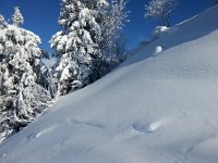 20170209 110558  Snow detail