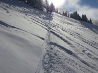 20170209 110903  where I came from