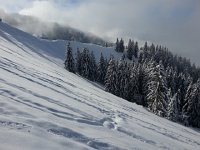 20170209 110907  off to my left