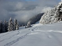 20170209 110911  where I am headed