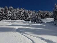 20170209 111031  because of the untracked