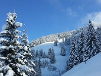 20170209 111445  where I just came down