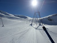 20170215 114625  Testa Grigia