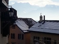 20170129 130522  Chêne sous le soleil