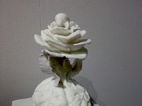 20170129 151244  Emergant property