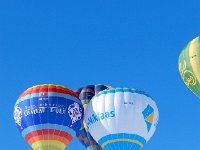 DSCN3717  To stay together?