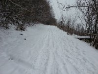 20170110 114136  10 Jan path to Caux still passable