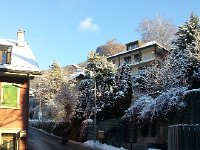 20170111 095424  11 Jan The next morning on the way to the garden