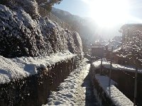 20170111 100930  Path at the End of Pallens