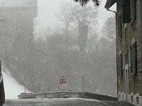 20170113 083408  The same day the snow moves in seriously