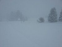 20170114 104158  Excellent viz!