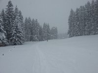 20170114 133349  A bit better later in the day, same palce on 9 Jan