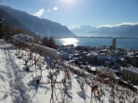 20170116 115510  16 Jan - sparkling!