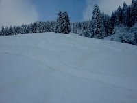 20170116 141031  A quick afternoon trip up the hill showed...