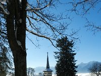 DSCN3667  Post cardium