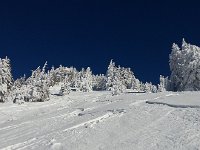 20170118 120720  Looking back up