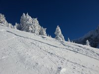 20170118 120732  Good conditions!