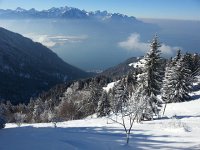 20170118 121423  Lower down, untracked