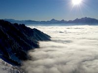 20170118 160427  A vertically stratified world