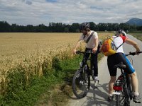 IMG 20170712 104233  and wheat