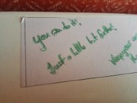 IMG 20170712 134600  Vivi memoribilia in the red room