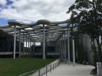 IMG 1534  hanging boxes for writers