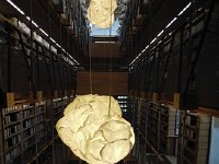 IMG 20170713 132323  luminous interior