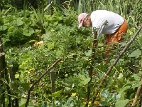 IMG 20170714 123811  always something to do there