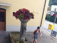 IMG 5404  stop for a drink at the fountain