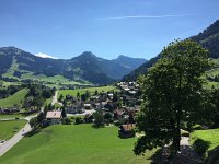 IMG 8659  brilliant!