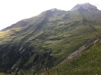 IMG 1661  the environs