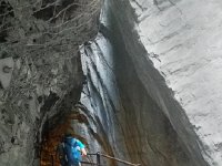 IMG 20170717 140123  Here it cuts way back in