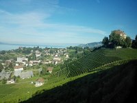 IMG 20170717 084847  vineyards below Chateau de Châtelard