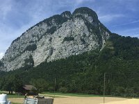 IMG 8670  the wheat!